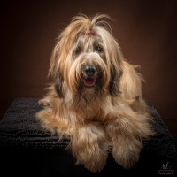 20210209pippa001