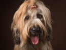 20210209pippa007