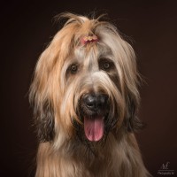 20210209pippa007
