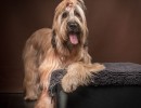 20210209pippa012