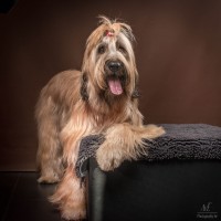 20210209pippa012