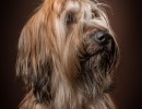 20210209pippa015
