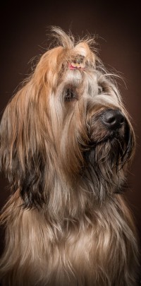20210209pippa015