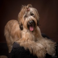 20210209pippa019