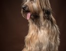 20210209pippa022