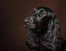 20210212 finley pipa 002