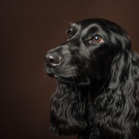 20210212 finley pipa 002