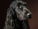 20210212 finley pipa 003