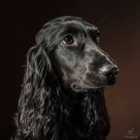 20210212 finley pipa 003