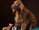 20210212 finley pipa 035