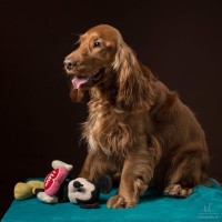 20210212 finley pipa 035
