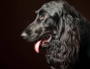 20210212 finley pipa 042
