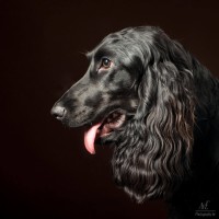 20210212 finley pipa 042