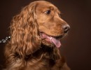 20210212 finley pipa 117