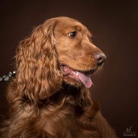 20210212 finley pipa 117