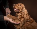 20210212 finley pipa 123