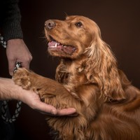 20210212 finley pipa 123