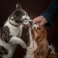 20210214 valentijn2
