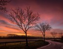 20210221 zonsopgang 007