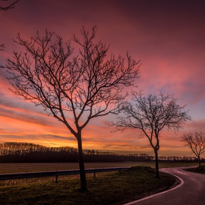 20210221 zonsopgang 007