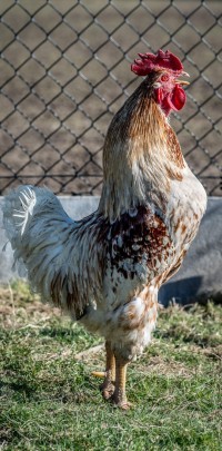 20210306 r 167