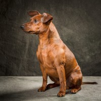 20210318 romeo luna 158