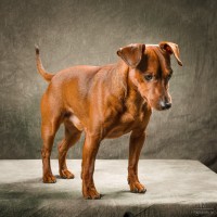 20210318 romeo luna 193