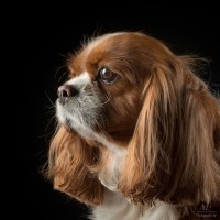 20210409 lady 001 2