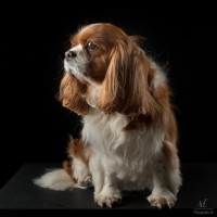 20210409 lady 001