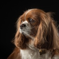 20210409 lady 026