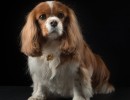 20210409 lady 032