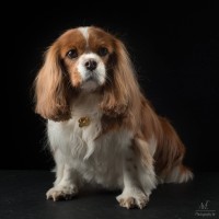 20210409 lady 032