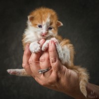 20210502 katjes 02
