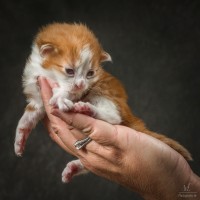 20210502 katjes 03