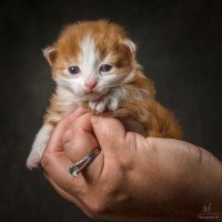 20210502 katjes 04