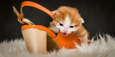 20210502 katjes