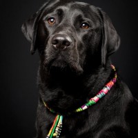 20210522 pippa 001