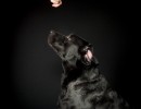 20210522 pippa 018