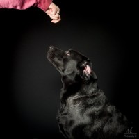 20210522 pippa 018