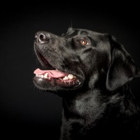 20210522 pippa 024