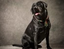 20210522 pippa 037