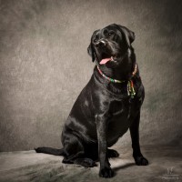 20210522 pippa 037