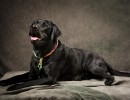 20210522 pippa 043