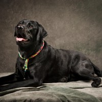 20210522 pippa 043