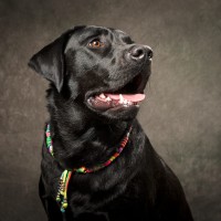 20210522 pippa 068