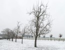 20210702 sneeuw 3889