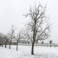 20210702 sneeuw 3889