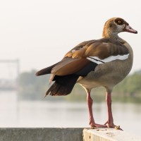20210720 uitkijk