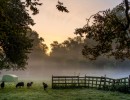20210907 ochtend