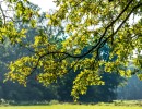 20211009 boswandeling 019